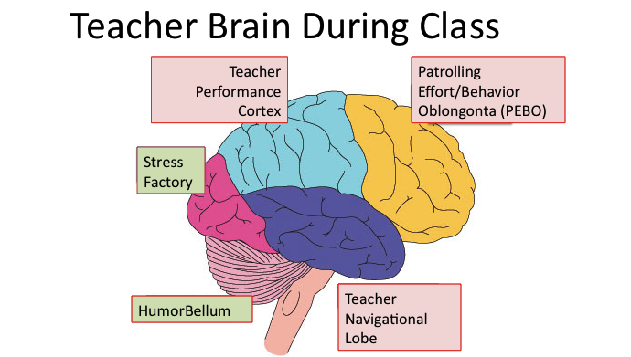 Surviving Your Rookie Year of Teaching: 3 Key Ideas & High Leverage Techniques course image