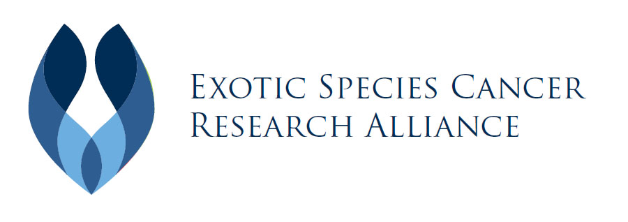 Exotic Tumor Database Training course image