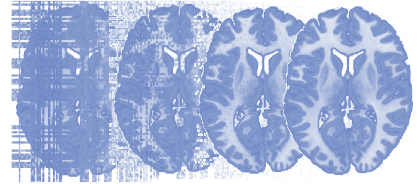 Principles of fMRI 2 course image