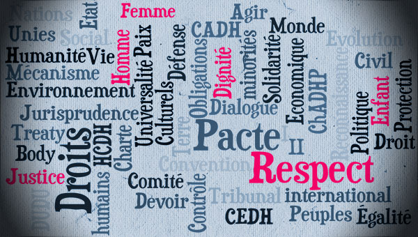Introduction aux droits de l’homme course image