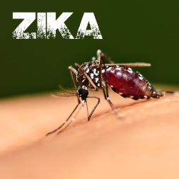Zika Virus - What You Need To Know course image