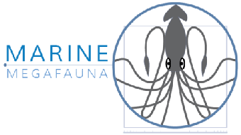 Marine Megafauna: An Introduction to Marine Science and Conservation course image