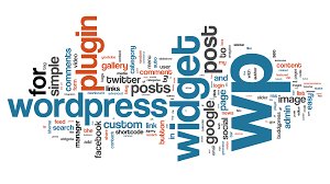 WordPress Beginners Course: Introduction to the World's Most Popular CMS/Blogging Platform course image