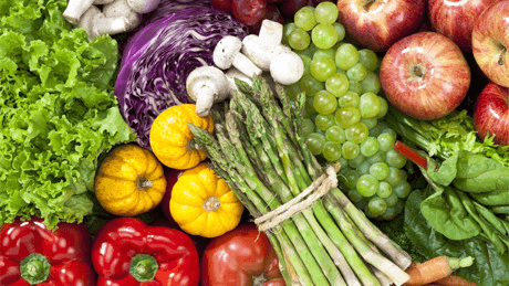 coursera fundamentals of human nutrition student reviews human nutrition