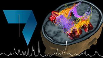 Fundamentals of Biomedical Imaging: Ultrasounds, X-ray, positron emission tomography (PET) and applications course image