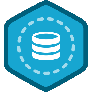 Browser Persistent Data with PHP course image