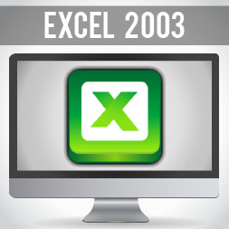 Microsoft Excel 2003 course image