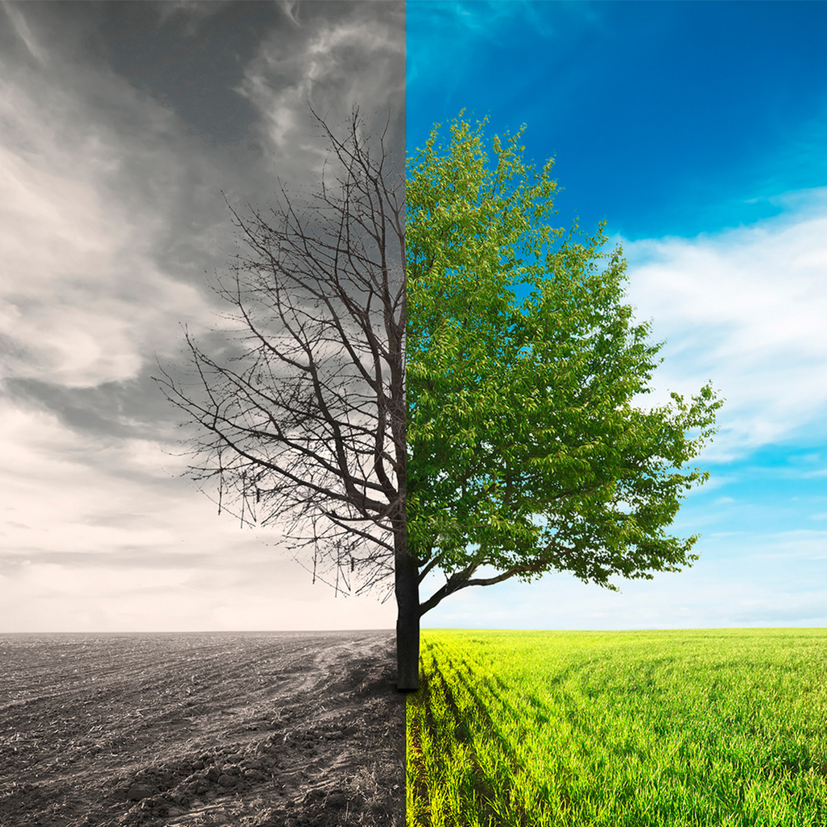 Conflict Transformation course image