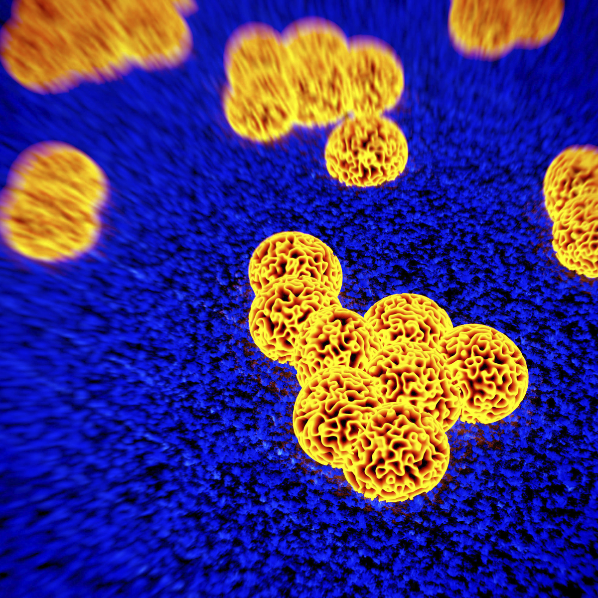 Infection Prevention in Nursing Homes course image