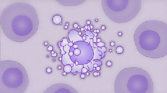 Programmed cell death course image