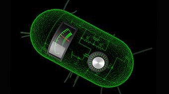 Principles of Synthetic Biology course image