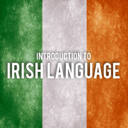 Introduction to the Irish Language course image