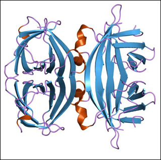 Fields, Forces, and Flows in Biological Systems course image
