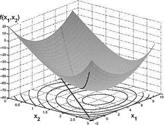 Nonlinear Programming course image