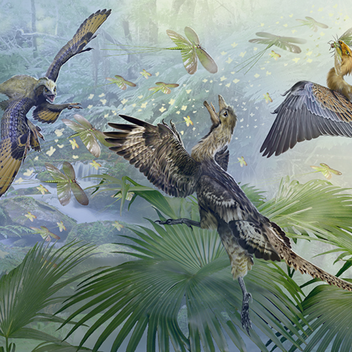 evolution an examination of the relation of dinosaurs and birds Theory of evolution edit the connection between dinosaurs and birds has been established the questions raised about the relation of evolution to the origins. evolution an examination of the relation of dinosaurs and birds Theory of evolution edit the connection between dinosaurs and birds has been established the questions raised about the relation of evolution to the origins.