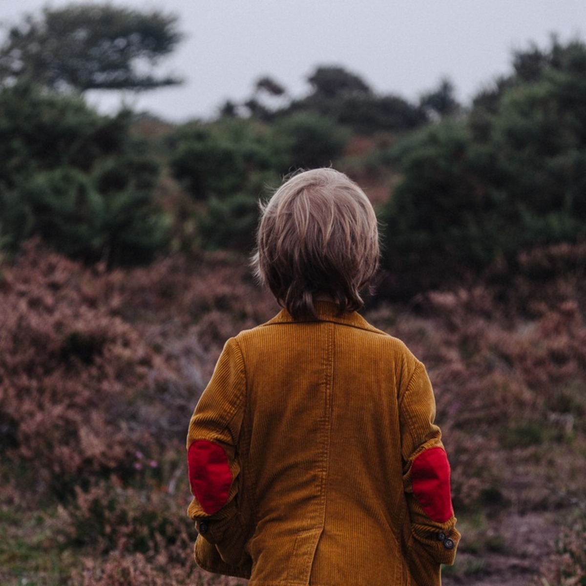 ADHD: Everyday Strategies for Elementary Students course image