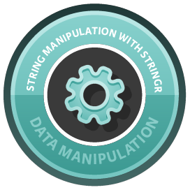 String Manipulation in R with stringr course image