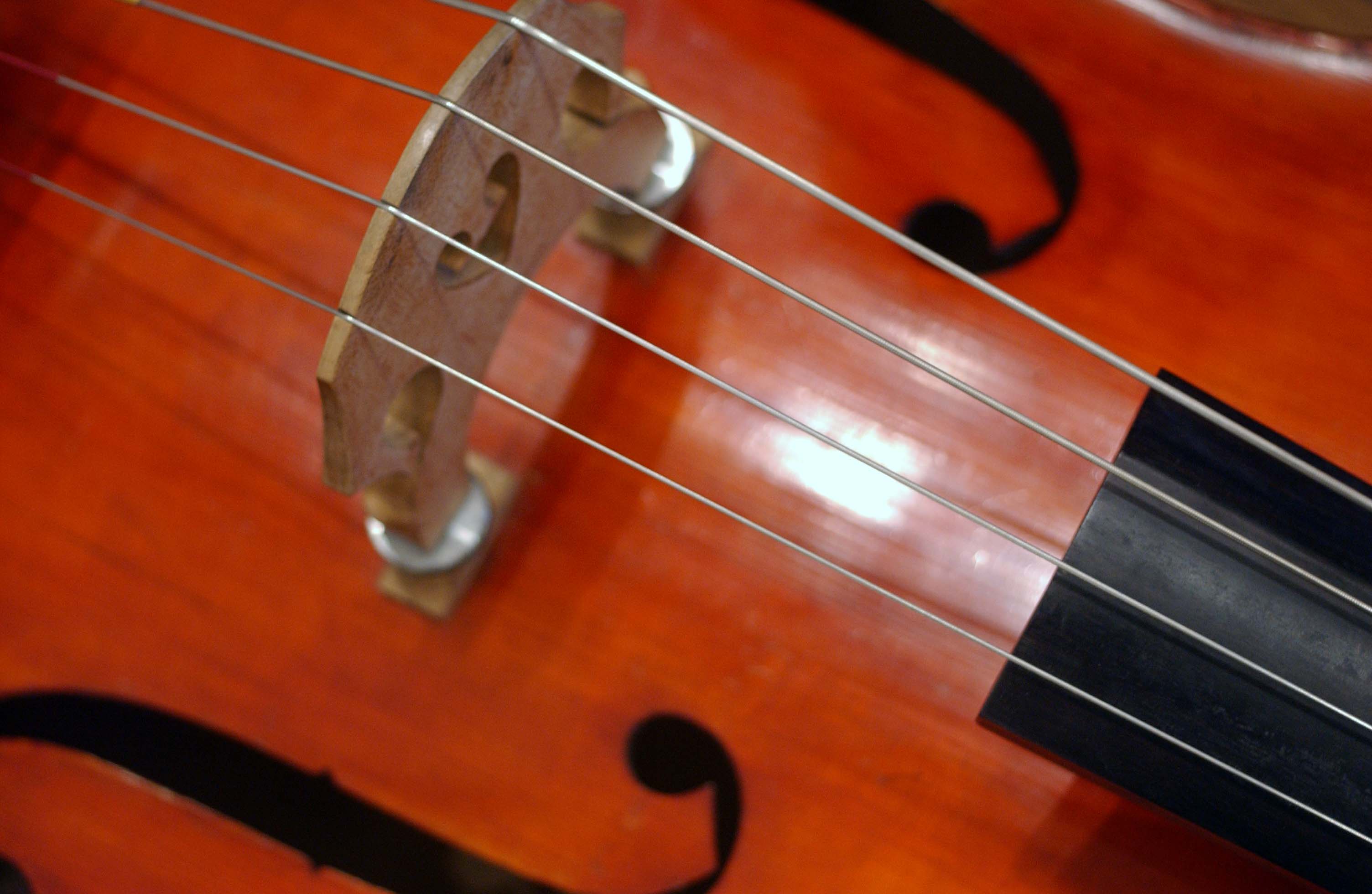 Introduction to Classical Music course image