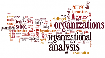 Organizational Analysis (Self-Paced) course image