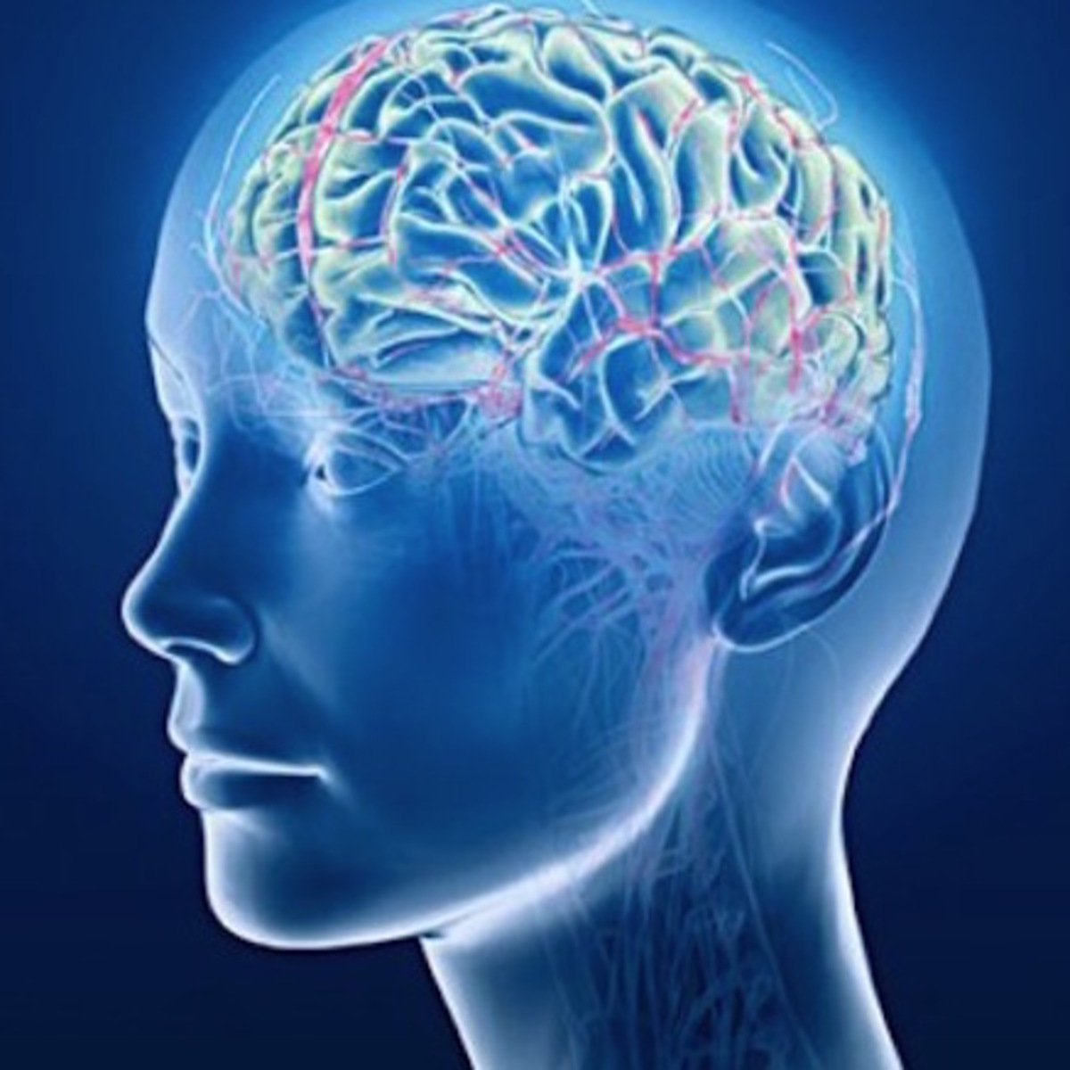 The Brain and Space course image
