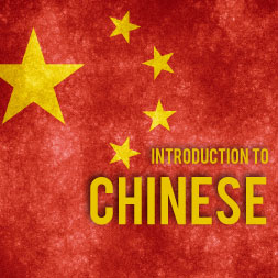Introduction to the Chinese Language - First Contact course image
