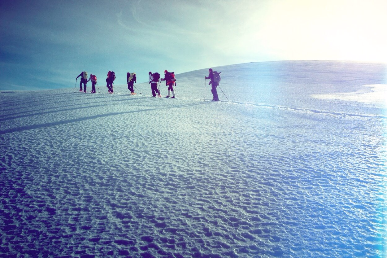 Lead a Team to Success course image