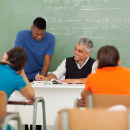 Diploma in Teaching Skills for Educators course image
