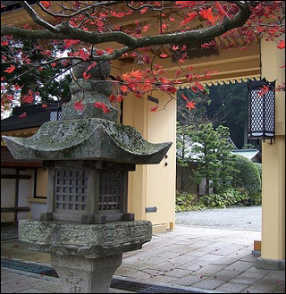 Japanese I course image