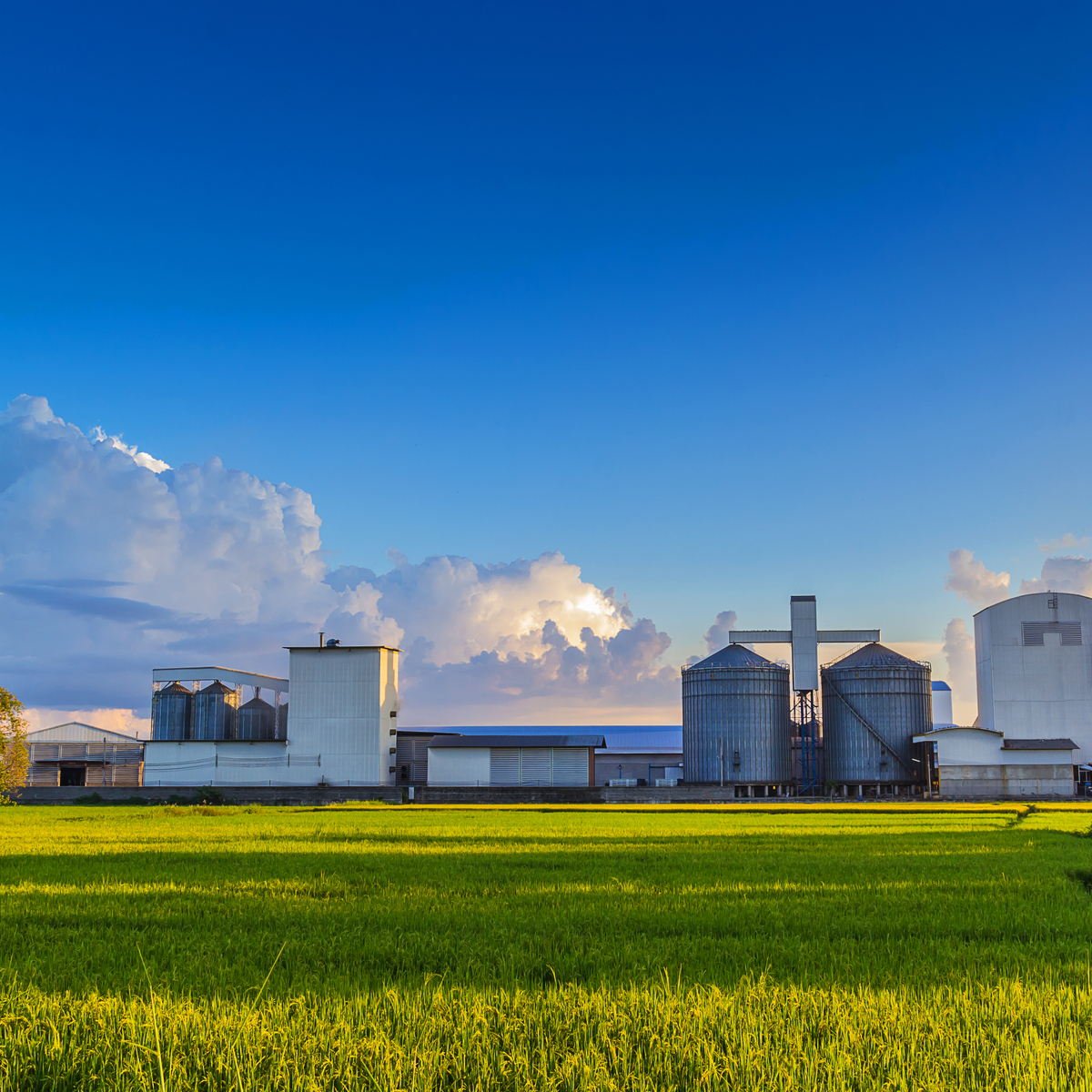 The Economics of Agro-Food Value Chains course image