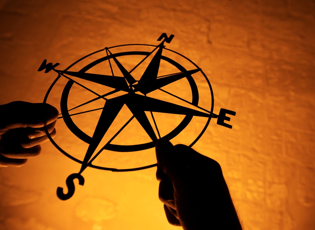 Navigating Your Professional Future course image