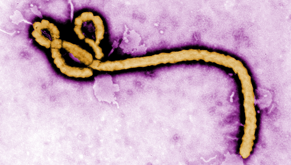 Ebola Virus Disease: An Evolving Epidemic course image