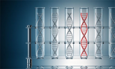 DNA Sequences: Alignments and Analysis course image