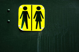 Gender, Sexuality, and Society course image