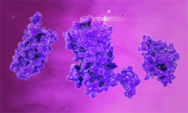 Proteins: Alignment, Analysis and Structure course image