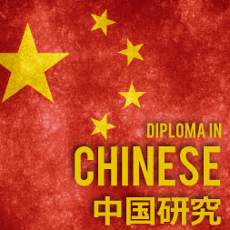 Diploma in Basic Chinese Language Studies course image