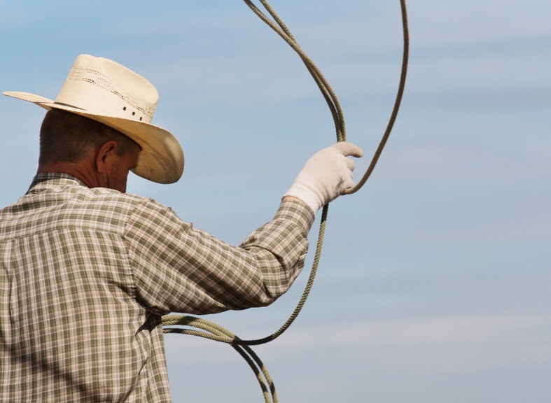 Made In America: Exploring the Hollywood Western course image