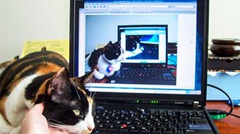 Advanced Software Construction in Java course image
