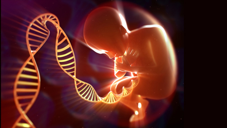 Genes and the Human Condition (From Behavior to Biotechnology) course image