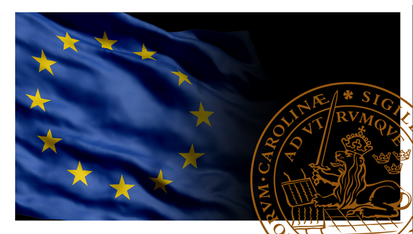 European Business Law: Understanding the Fundamentals course image
