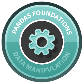 pandas Foundations course image