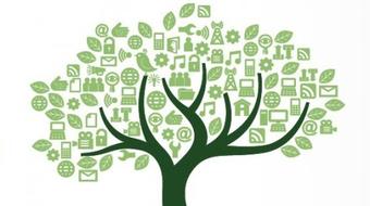 Discover Affiliate Opportunities
