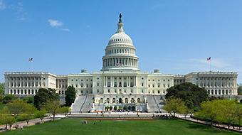 American Government course image