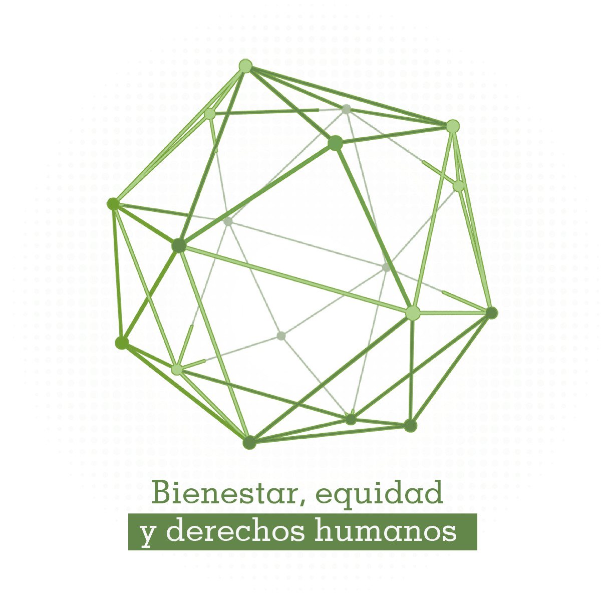 Bienestar, equidad y derechos humanos course image