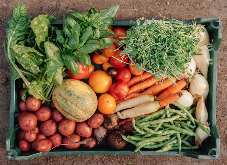 Invisible Hunger: Food Insecurity and Food Banks course image