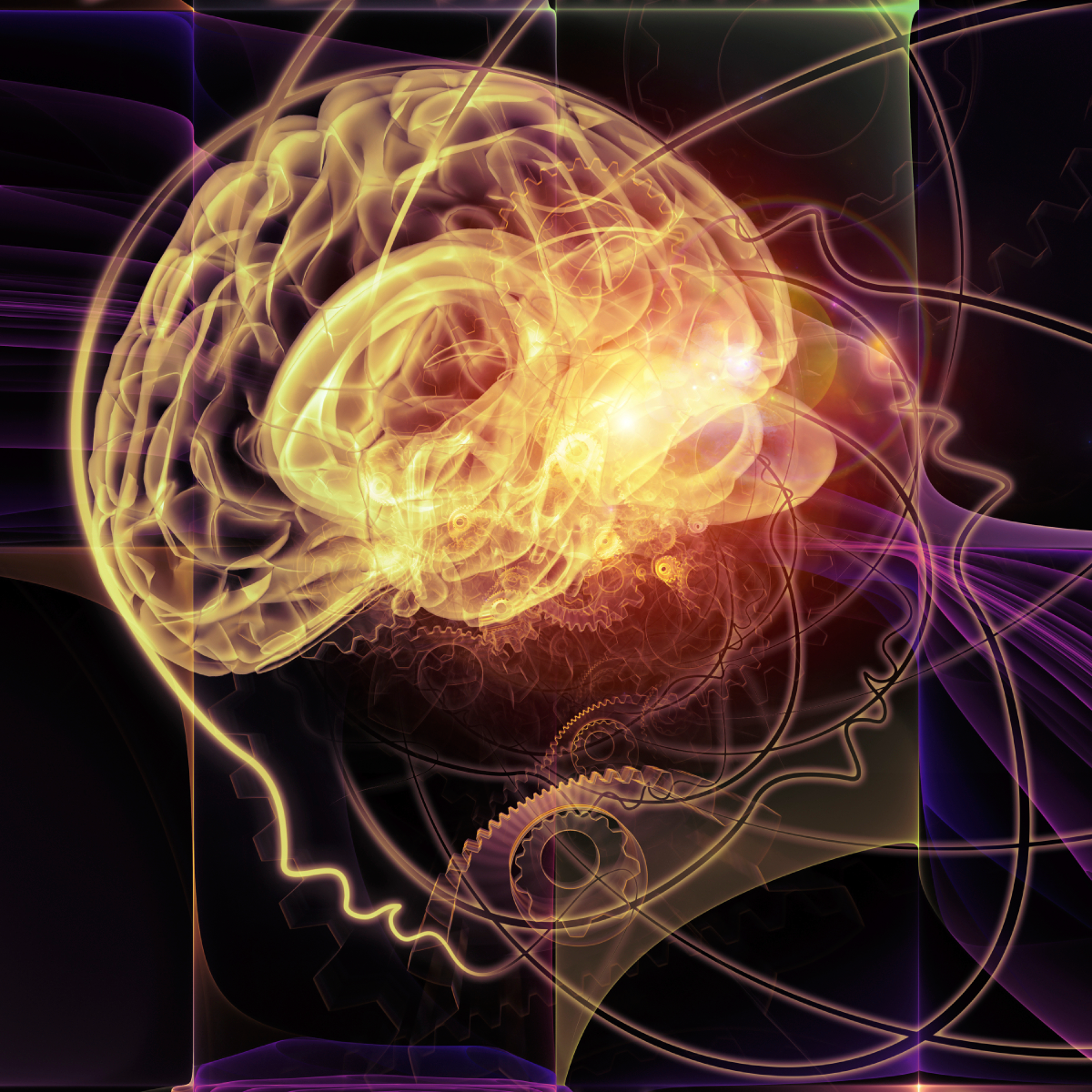 The Addicted Brain course image