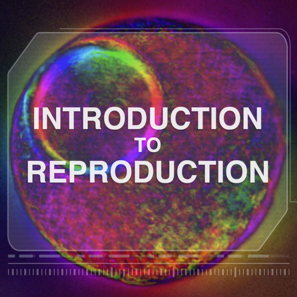 Introduction to Reproduction course image