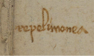 The History of Medieval Medicine Through Jewish Manuscripts course image