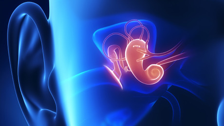 Deafness in the 21st Century course image