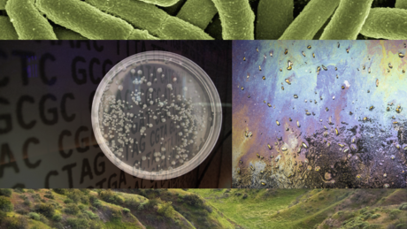 Engineering Life: Synbio, Bioethics & Public Policy course image
