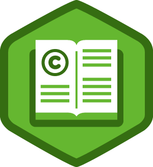 Copyright Basics course image